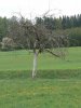 P1070148kaal.jpg