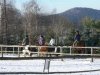 P1080484winterse rit.jpg
