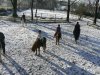 P1080485voldaan weer terug.jpg