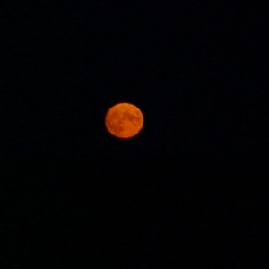 De rode maan
