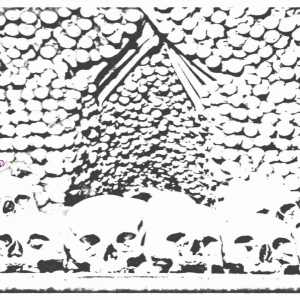 Auto Draw 2: Bones Of Ossuary Chapel, Sedlec, Czech Republic