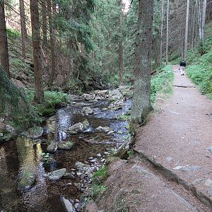 Zelený důl: langs de Zelený potok