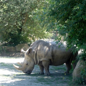 Zoo in Dvur Kralové