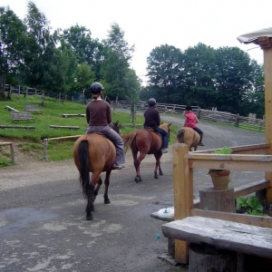 Paardrijden in Farma Hucul