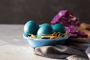 blauwe kool eieren