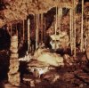 Kateřinská jeskyně - Nová jeskyně.jpg