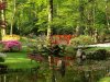 Den Haag - Japanse Tuin in Clingendael - 004.jpg