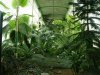 Lednice - skleník - zimní zahrada.jpg