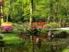 05-05-31- Den Haag - Japanse Tuin in Clingendael.JPG