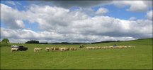 7 DSC02093-1.jpg