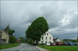 DSC02873-1.jpg