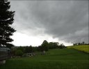 DSC02923-1.jpg