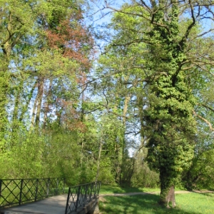 Park bij Zamek Cholitce