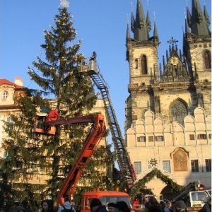 De nieuwe boom in Praag