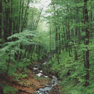 Zomaar in de Beskydy