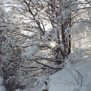 Winter in de beskydy