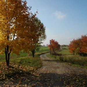 Herfst in Tsjechisch Siberië