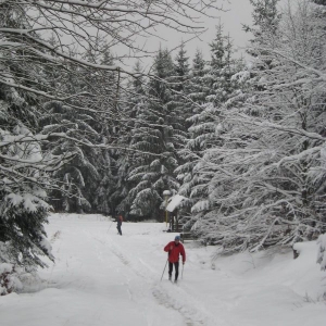 winterbeelden omgeving Jiretín pod Jedlovou