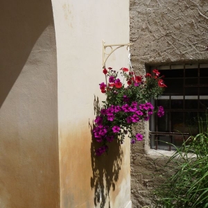 Bloemen van Keesi in Kutna-Hora.