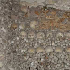 vakantie  augustus 2009 beroun en omgeving