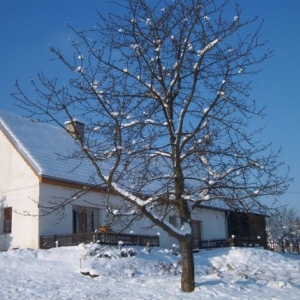 Winter in Tsjechie