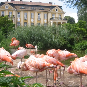 Hradec Kralove - Dierentuin