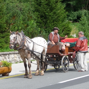 paarden koets in Štrbské pleso, Vysoké Tatry