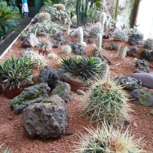 Bloementuin in Kromeriz