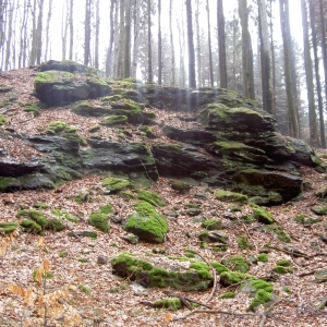 Nový Rychnov - Křemešník