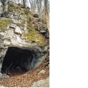 Koda beschermd natuurgebied