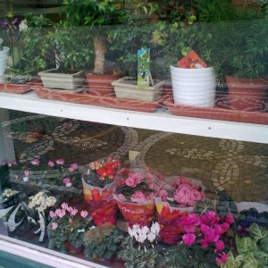 Planten/bloemen-winkel.