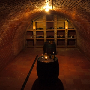 Bavory - wijnkelder