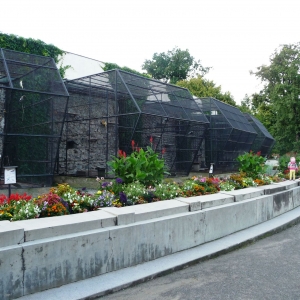 Apenkooien in Kromeriz