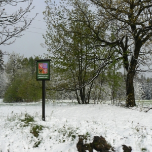 Van Liberec naar Visnova