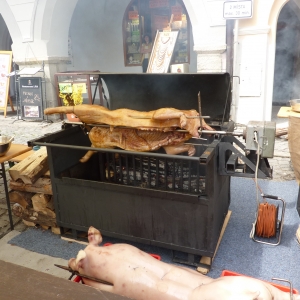 Five-Petallet Rose Celebrations 2011