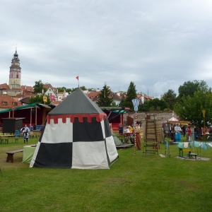 Five-Petallet Rose Celebrations 2011