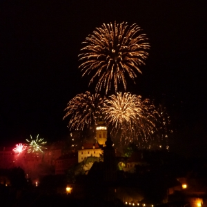 Five-Petallet Rose Celebrations 2011