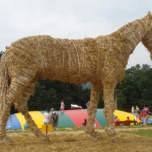 Paard van stro met springkussen op de achtergrond.