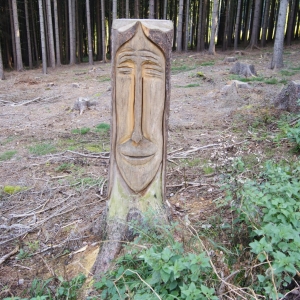 Boswachters crea-bea in het bos bij Boháòka?