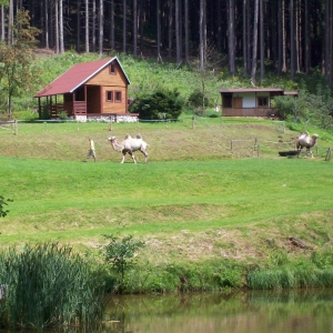 camping svate katerine