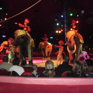cirkus cirkus praag 2012