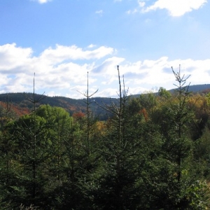 Herfst panorama in Moravie