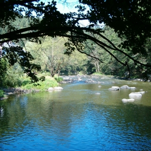 De rivier de Luznice