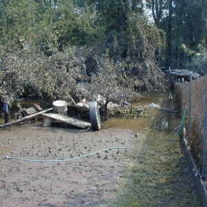 Overstroming aug 2002 - achtertuin van mijn ouders (90 en 84)