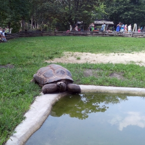 Zoo Dvůr Králové