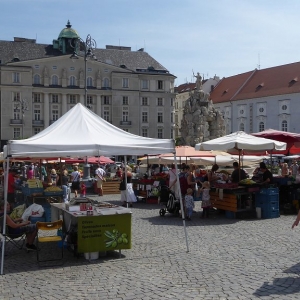 Brno: Zelný trh met Kašna Parnas