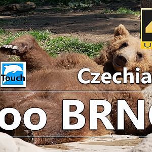 Brno - de dierentuin