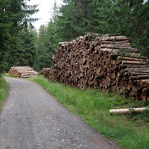 Tussen Pancíř en Můstek: houtkap