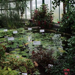 Botanical Zahrada Liberec