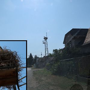 Slavětín nad Metují: ooievaarsnest in het dorpscentrum